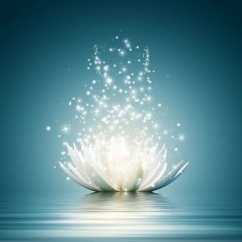 MINDFULNESS